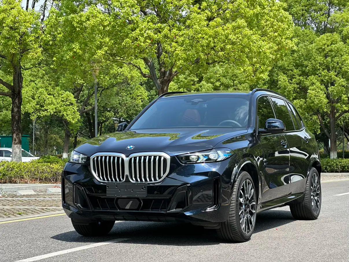 BMW X5 2025 г. 1709 км.